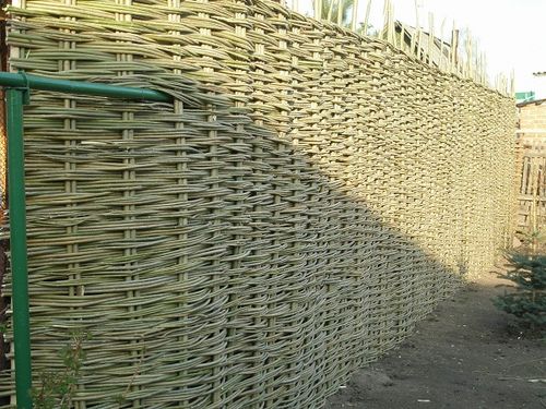 Плетеный забор